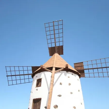 Acebuche Caleta De Fuste