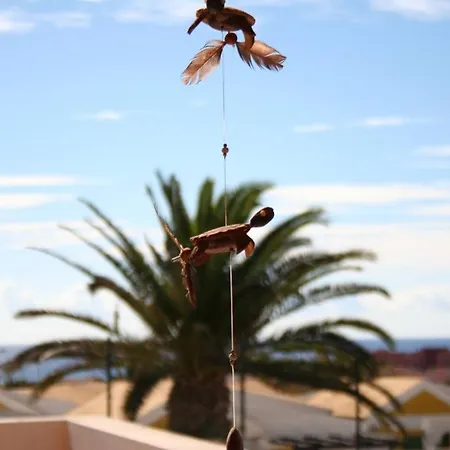 Acebuche Caleta De Fuste